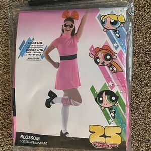 Powerpuff Girls Blossom Adult Costume